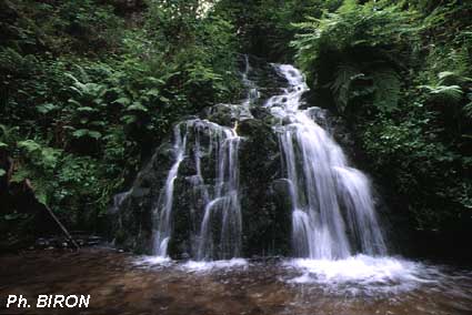 La cascade en juillet 1996